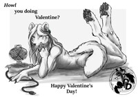 Valentine's Day CrissCross 2016