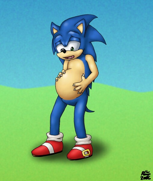 Pregnant Sonic (clean version) by the_Roop.