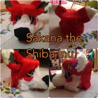 Sakana Fursuit Head