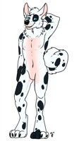 [Comm] Introducing: Carsen!