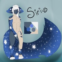 Sirius Refsheet (Anthro)