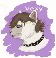 Commission - Vexy
