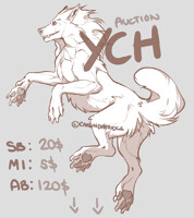YCH auction [CLOSED]