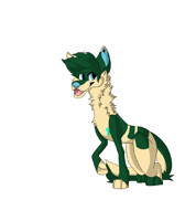 Trade With MysteryPaws on Instagram