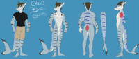 Otto "Blitz" Stripes reference sheet -SFW-