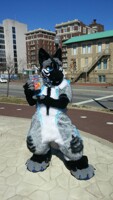 Girl Scout's new Cookie Salesfur