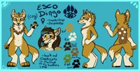 Esco Dingo Reference Sheet