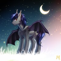 White night