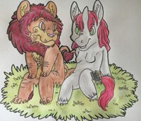 Sitting in the grass