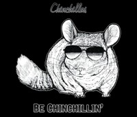 Chinchillas be Chinchillin' - Redbubble