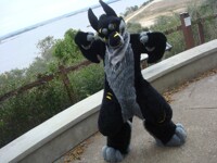 Personal - You Want the Shark?