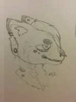 Syndell Headshot Design