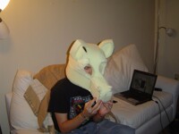 Fursuit Head 1
