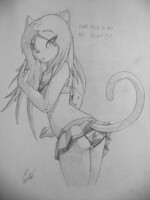 Le skirt (traditional)