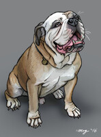 Kampyer the Bulldog