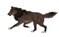 [C] Dorian