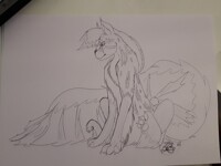 Gift / Ocelot doggie