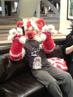 FWA 2016 cute suits