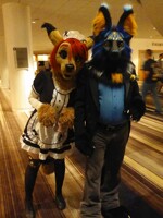 Fwa 2016 - Delightful Duo