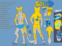 Zound Z-Step Reference sheet