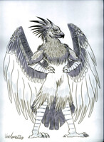 Kithrak - FC 2009 Comission - by SusanVanCamp