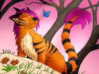 Sakura Blossom Spring 