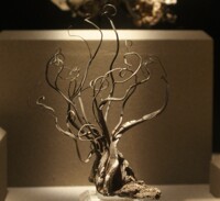 Silver Tree
