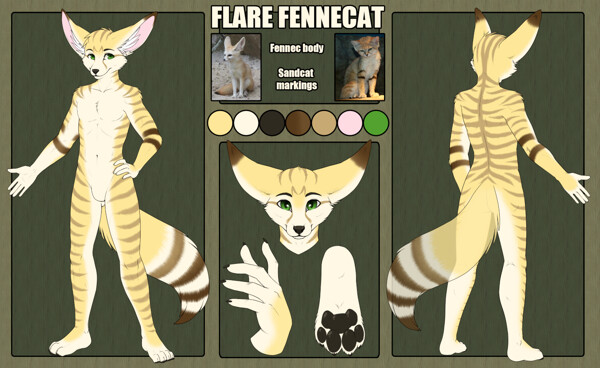Species: Hybrid of Fennec and Sand Cat.. 