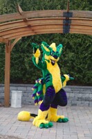Mardi Gras fullsuit