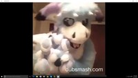 Unboxing Video