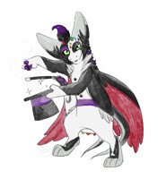 Watch As I Dazzle And Amaze You!!