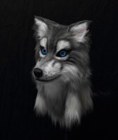 Grey wolf, realistic fursuit head commission profile
