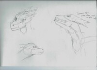 Ref Attempt pt. 1 heads