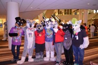 FWA 2016 - More Furs