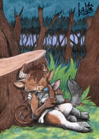 A nap in the forest