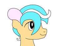 Cassaan (Coloured)