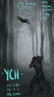 [ych] :: the photographer ::