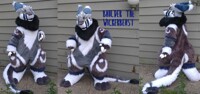 Baulder Fursuit Review