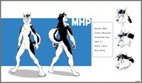 New Reference (2016)