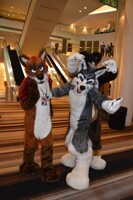 FWA 2016 - Sass