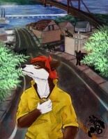 Com (5h) California Dreaming