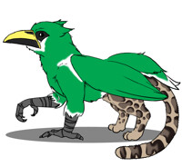 Emerald Toucanet + Clouded Leopard