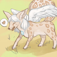 For Lyka