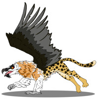 Bearded Vulture + Cheetah