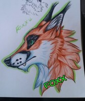 badge for Foxx