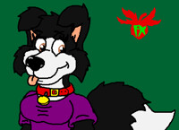 Clare border collie head shot icon
