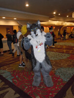 BLFC pics2