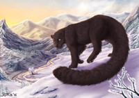 Naturama Commission - Snowy Panorama