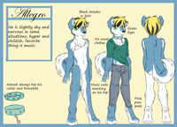 Allergro Refference Sheet