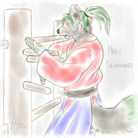 Testing the new tools